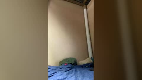 Axell online show from 04/05/26, 01:52