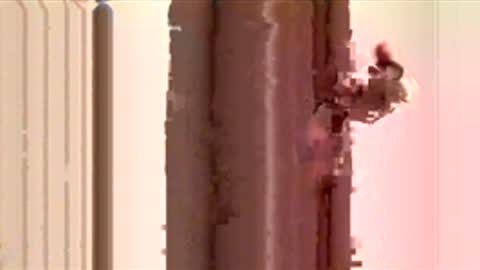 ayquericoseve online show from 11/28/25, 03:31