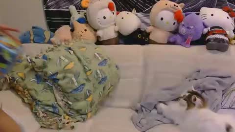 Snapshot of aznp1ea5er chatting on 02/19/26, 04:19 aznp1ea5er online show from 02/19/26, 04:19