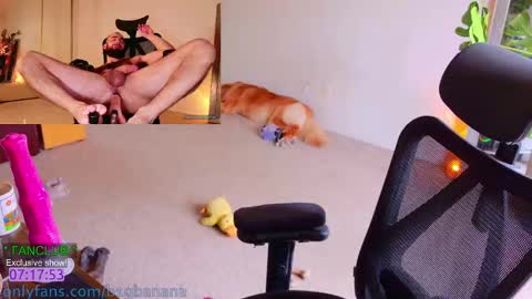 b1gbanana online show from 03/11/25, 06:41