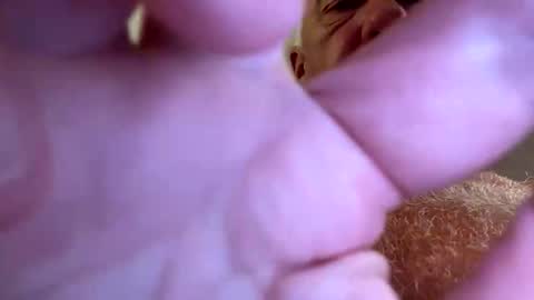 benito online show from 09/28/25, 07:52