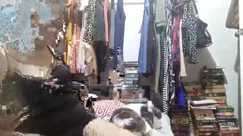 Snapshot of babe4u1234 chatting on 12/03/24, 11:33 babe4u1234 online show from 12/03/24, 11:33