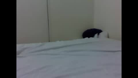 Snapshot of baby_lucky35865 chatting on 04/26/26, 04:37 needoh online show from 04/26/26, 04:37