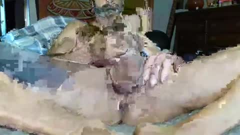 Poindexxxter online show from 12/16/24, 03:00