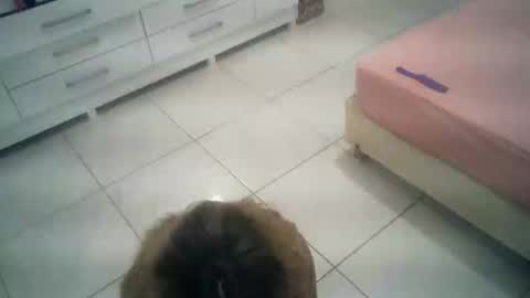 babyluna16 online show from 10/04/25, 06:06