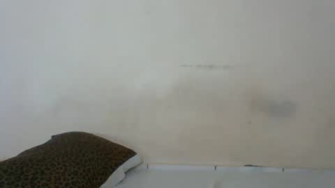 Rossy Kwekwe online show from 02/17/26, 05:59