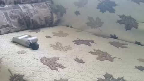 babymom1 online show from 03/09/25, 02:21