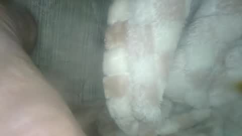 Snapshot of babyxxxangel chatting on 12/19/24, 05:40 babyxxxangel online show from 12/19/24, 05:40