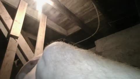 Snapshot of babyxxxangel chatting on 09/20/25, 09:43 babyxxxangel online show from 09/20/25, 09:43