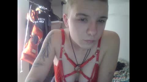 Honey online show from 12/03/25, 11:19