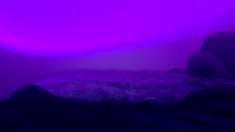 baddiejess618433 online show from 01/05/25, 06:02