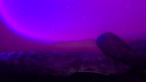 baddiejess618433 online show from 01/11/25, 03:44