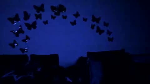 Snapshot of badgg chatting on 02/12/25, 06:09 Gina online show from 02/12/25, 06:09