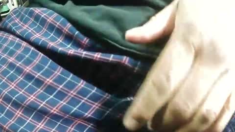 Bagofun online show from 01/25/25, 07:38