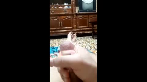 bahaa5555 online show from 02/12/26, 04:18