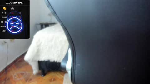 Snapshot of baileyadamss chatting on 02/17/25, 05:47 IM BAILEY online show from 02/17/25, 05:47