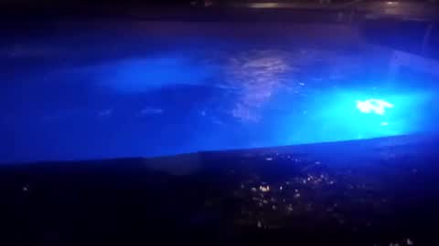 Snapshot of bakerbeachismygig chatting on 12/09/24, 04:45 bakerbeachismygig online show from 12/09/24, 04:45