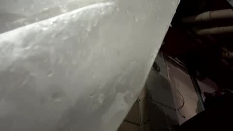 balddickstroking online show from 03/08/25, 05:59