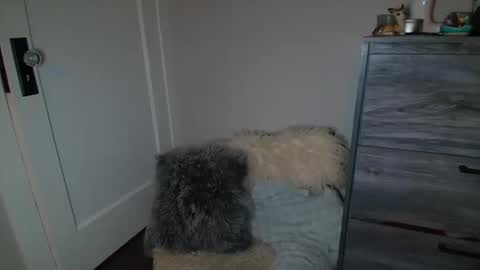 Bambi online show from 03/02/25, 05:12