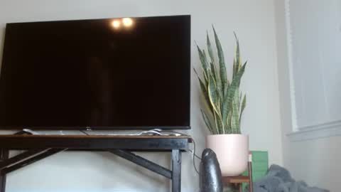 bambirachel1 online show from 06/22/26, 11:02