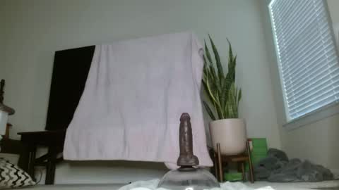 bambirachel1 online show from 06/23/26, 11:36