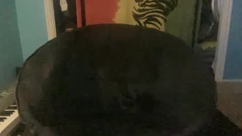 Snapshot of bananaboy420720 chatting on 09/16/25, 06:14 bananaboy420720 online show from 09/16/25, 06:14