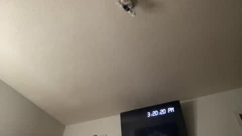 Chelly online show from 03/25/26, 07:20