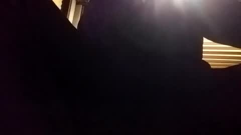 Snapshot of baobabtree8 chatting on 12/24/24, 02:10 baobabtree8 online show from 12/24/24, 02:10