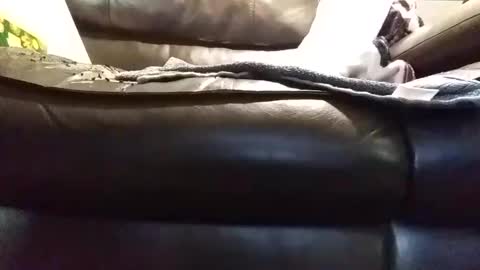 Snapshot of baobabtree8 chatting on 01/09/25, 01:45 baobabtree8 online show from 01/09/25, 01:45