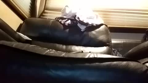 Snapshot of baobabtree8 chatting on 01/14/25, 01:06 baobabtree8 online show from 01/14/25, 01:06