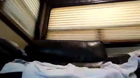 Snapshot of baobabtree8 chatting on 02/26/25, 02:14 baobabtree8 online show from 02/26/25, 02:14