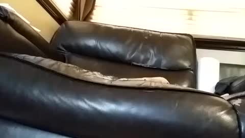 Snapshot of baobabtree8 chatting on 03/06/25, 02:29 baobabtree8 online show from 03/06/25, 02:29