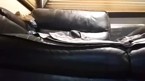 Snapshot of baobabtree8 chatting on 09/26/25, 12:53 baobabtree8 online show from 09/26/25, 12:53