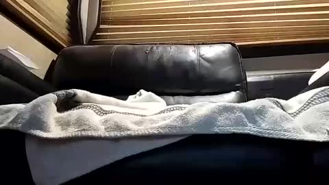 Snapshot of baobabtree8 chatting on 10/04/25, 12:14 baobabtree8 online show from 10/04/25, 12:14