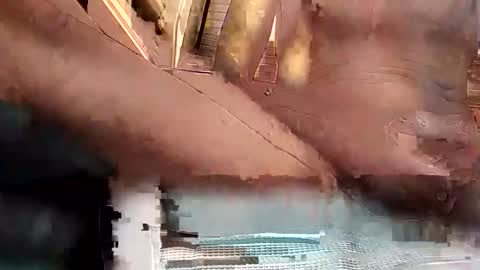 Snapshot of baobabtree8 chatting on 10/15/25, 02:17 baobabtree8 online show from 10/15/25, 02:17