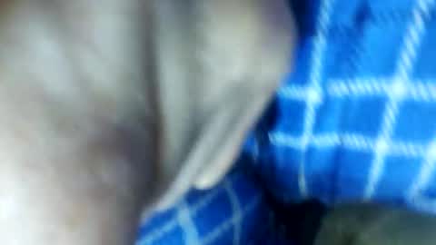 barbitall online show from 11/15/25, 03:08