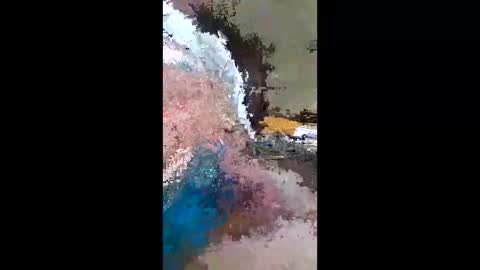 barbitall online show from 01/13/26, 08:03