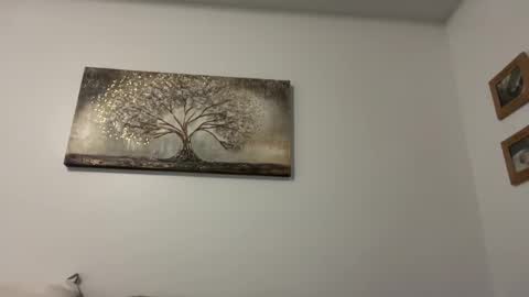 chicka online show from 12/28/24, 12:26