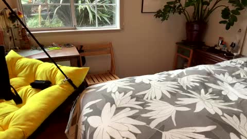 Snapshot of barrymccockinher22 chatting on 12/20/24, 11:58 Tasten Spike online show from 12/20/24, 11:58