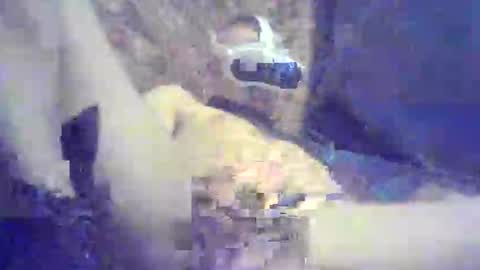 Snapshot of bartbartek chatting on 05/16/26, 05:34 bartbartek online show from 05/16/26, 05:34