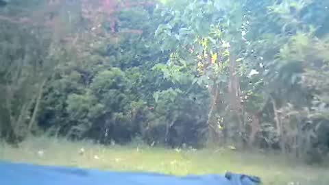 Snapshot of bartbartek chatting on 07/19/26, 05:55 bartbartek online show from 07/19/26, 05:55