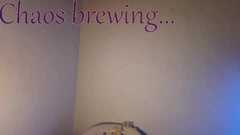 Your always sexy Harley online show from 04/20/26, 04:59