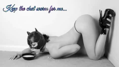 Snapshot of batmansfavoritewife chatting on 07/08/26, 08:19 Your always sexy Harley online show from 07/08/26, 08:19
