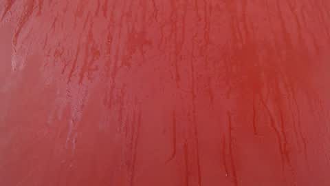 bayonette_black online show from 11/30/25, 07:07