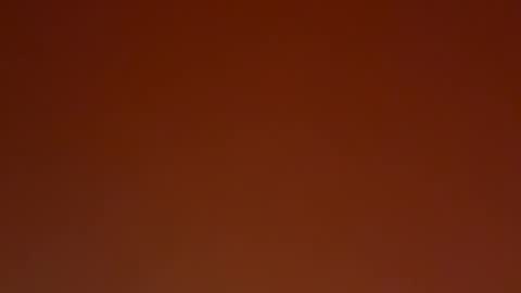 bbbbbnhg online show from 01/12/26, 07:57