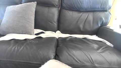 Arduous online show from 10/03/25, 11:13