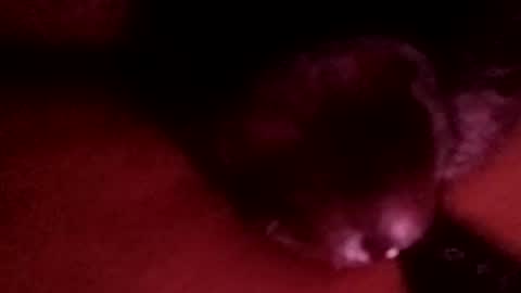 bcfalcon69 online show from 04/01/26, 03:18