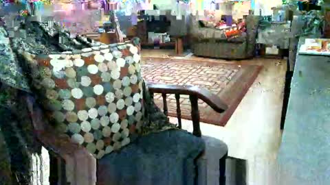 beardie89 online show from 01/12/26, 05:40