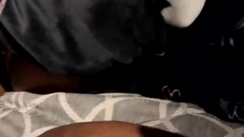 BeastyAdamsTgExotic online show from 02/15/25, 10:33