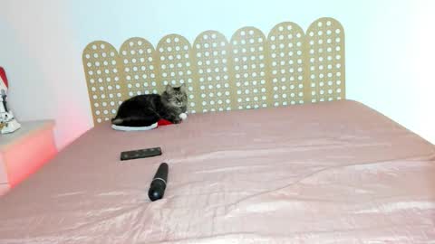 Snapshot of beautyraf chatting on 12/18/25, 10:49 Beautyraf online show from 12/18/25, 10:49